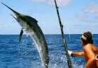طريقة صيد السمك